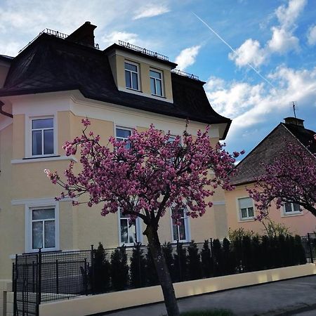 Villa Kreuzbergl - Apartment 克拉根福 外观 照片