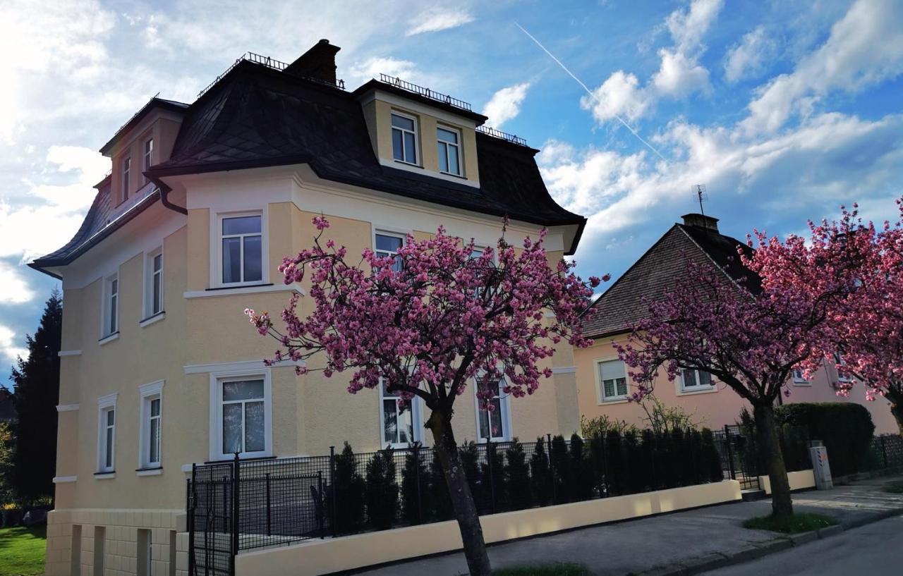 Villa Kreuzbergl - Apartment 克拉根福 外观 照片